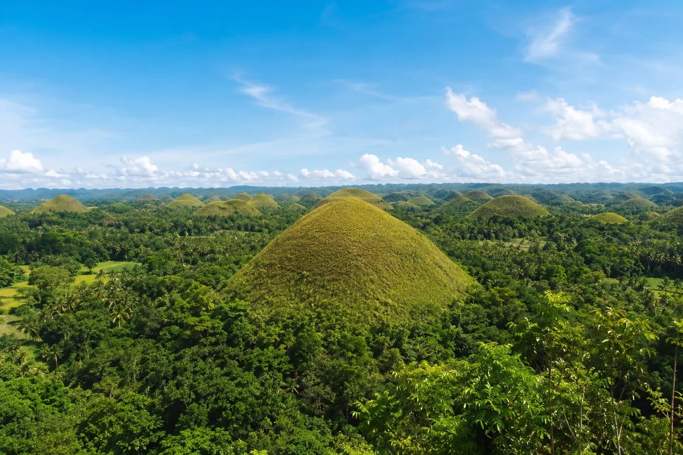 Green tropical Bohol landscape under a clear sky